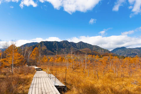 栃木の戦場ヶ原