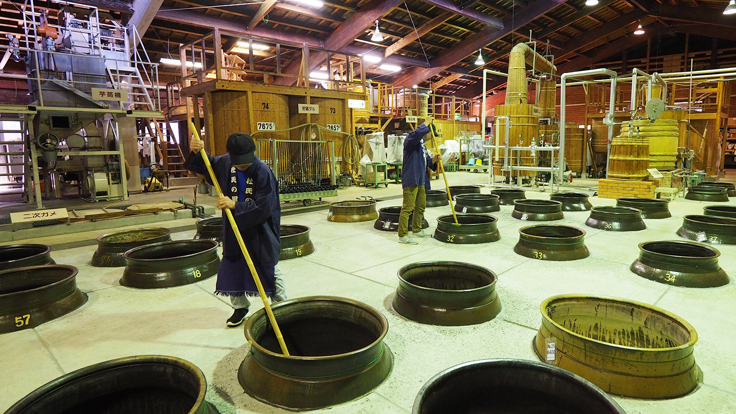 南さつま市「杜氏の里笠沙」を徹底ガイド！焼酎づくりの伝統にふれよう