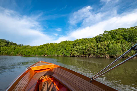 ブルネイのマングローブツアー