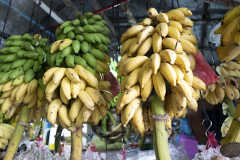 マーレの青果市場