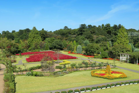 千葉の清水公園