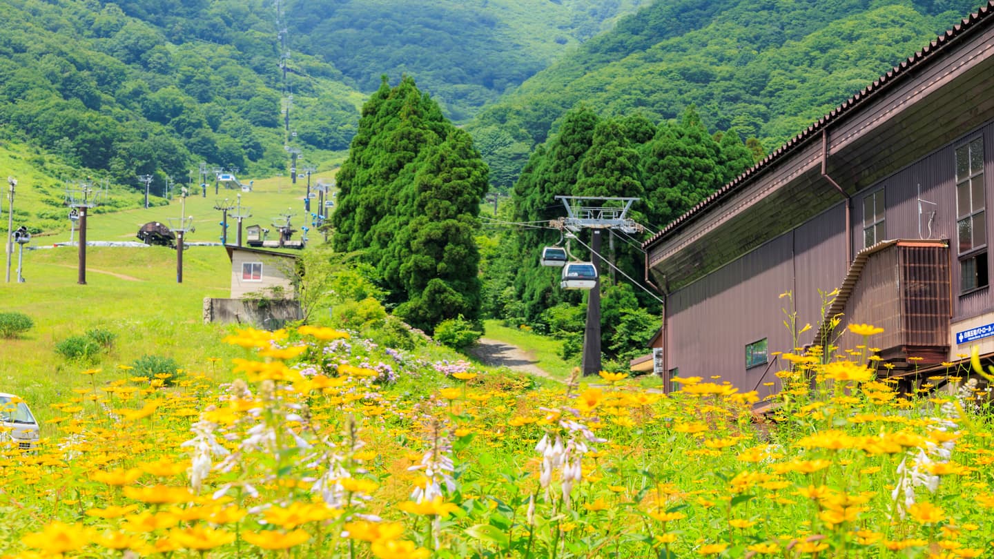白馬の高級ホテル8選！絶景と美食を楽しむ極上の休日