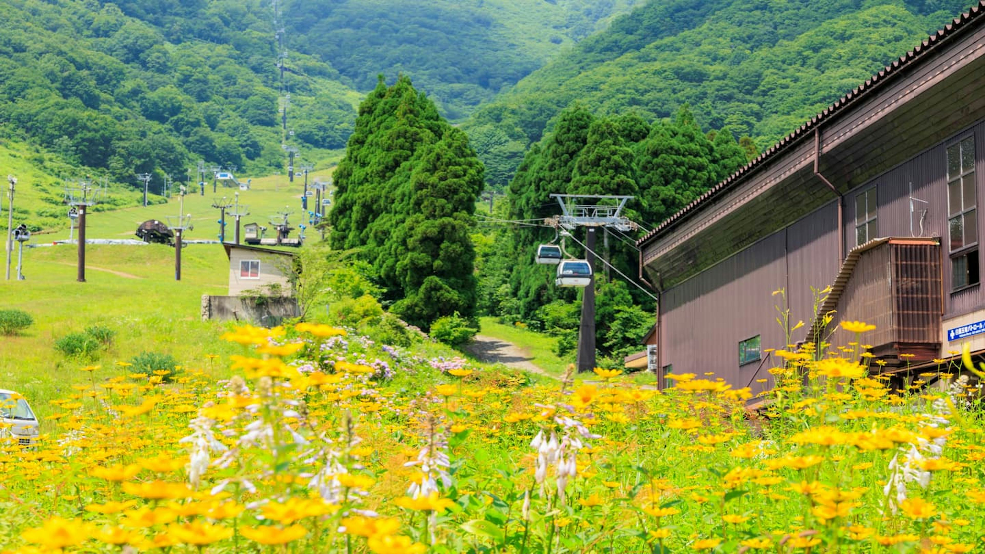 白馬の高級ホテル8選！絶景と美食を楽しむ極上の休日