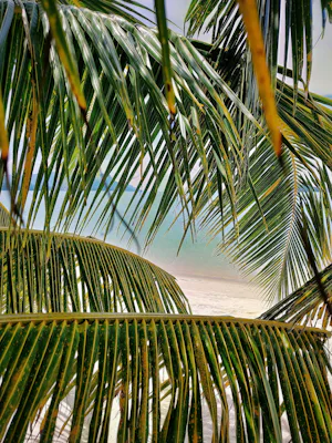 マレーシアのタンジュン・ルービーチ