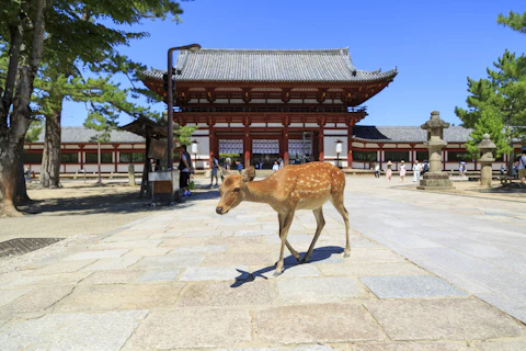 日本の奈良