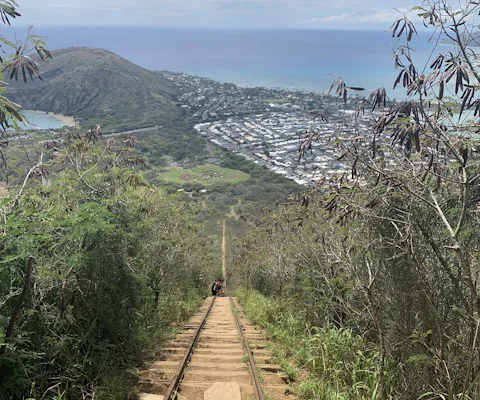 ココヘッド・ハイク