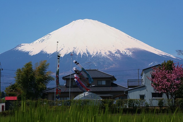 静岡の富士