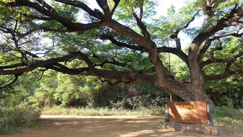 カウアイ島のポリハレ州立公園