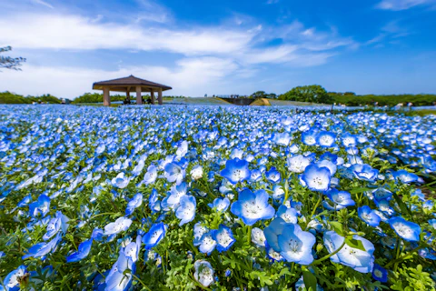 福岡の海の中道海浜公園