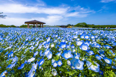海の中道海浜公園