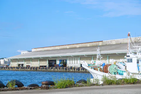 金沢港いきいき魚市