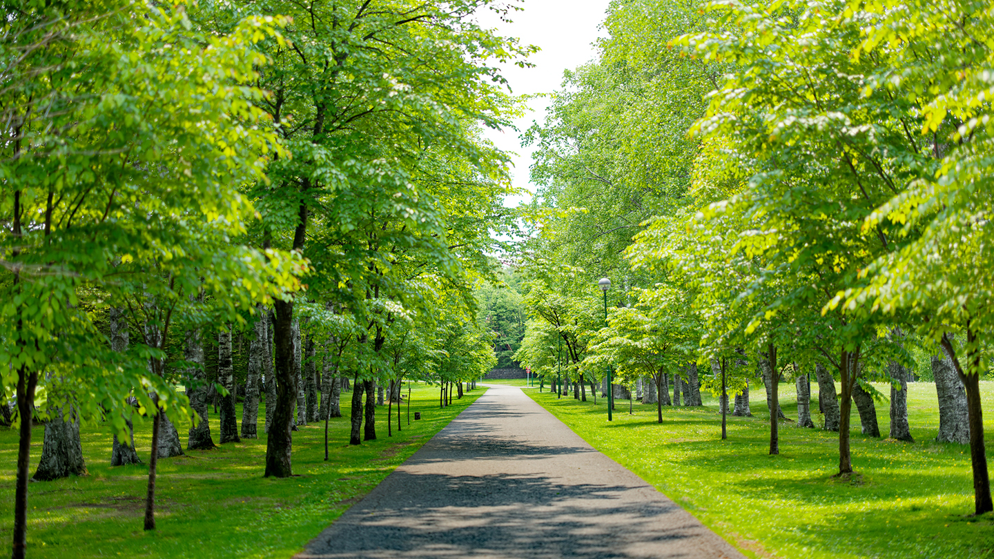 帯広・十勝の高級ホテル6選!モール温泉と美食の旅
