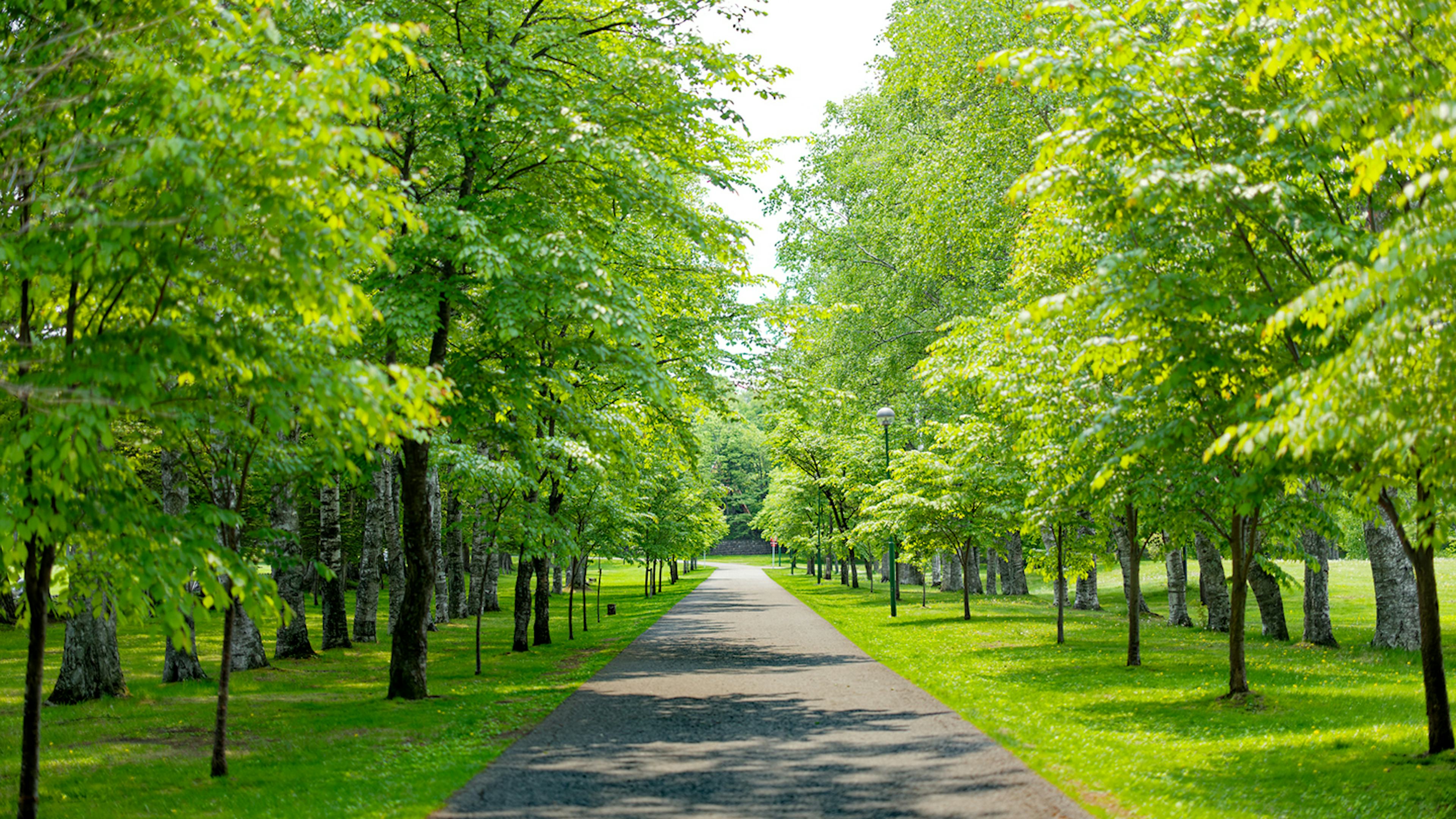 帯広・十勝の高級ホテル6選！モール温泉と美食の旅