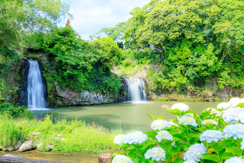 佐賀の嬉野