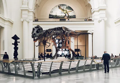 シカゴのフィールド博物館