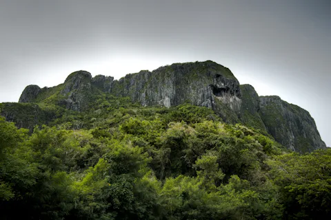 スーサイドクリフ(ラデラン バナデロ)