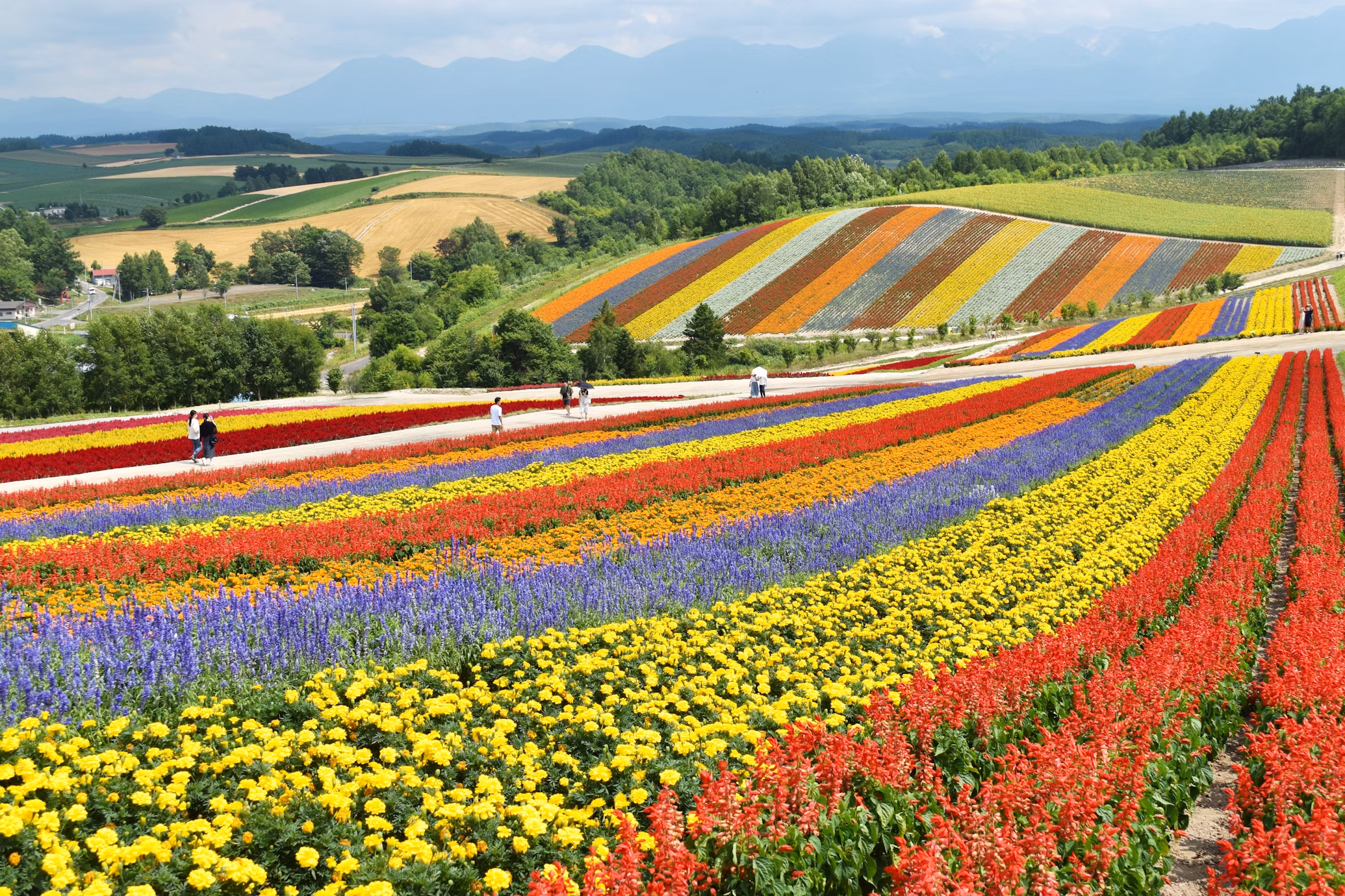 日本の北海道