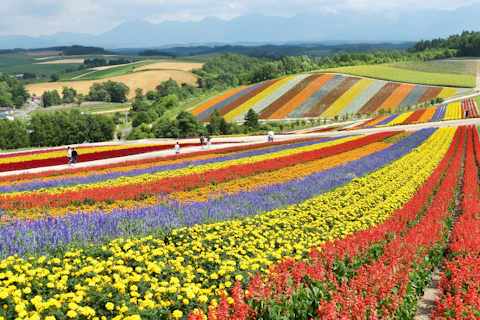 日本の北海道