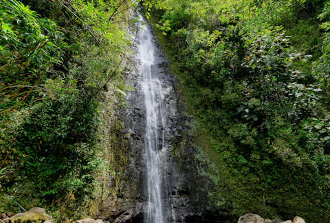 ハワイのマノア滝