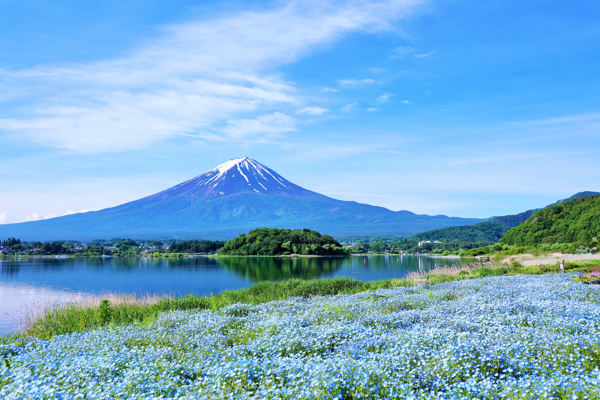 山梨の富士山・富士五湖エリア