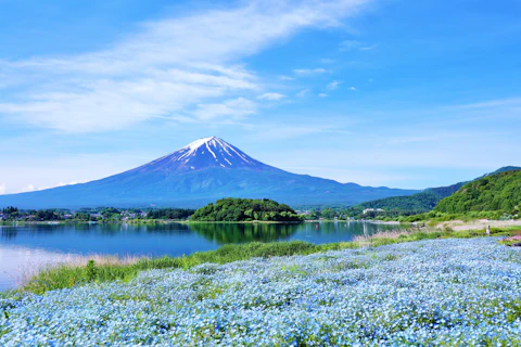 山梨の富士山・富士五湖エリア