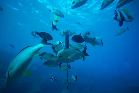 アンダーウォーターワールド