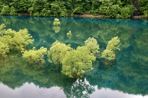 秋田の秋扇湖