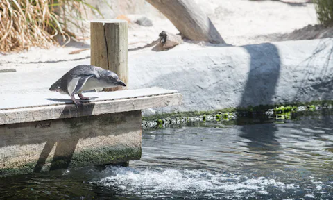ニュージーランド国立水族館