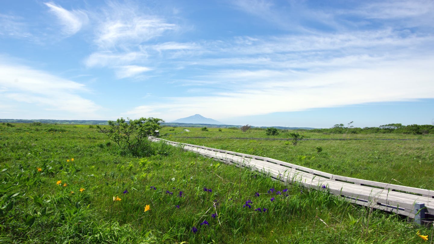 日本最大級の高層湿原を満喫!サロベツ湿原の楽しみ方ガイド