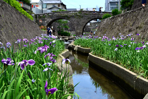 熊本の県北