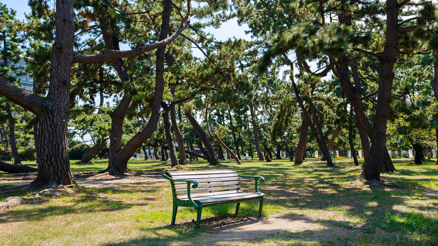 名松100選とばら庭園に癒やされる!浜寺公園の見どころを徹底解説
