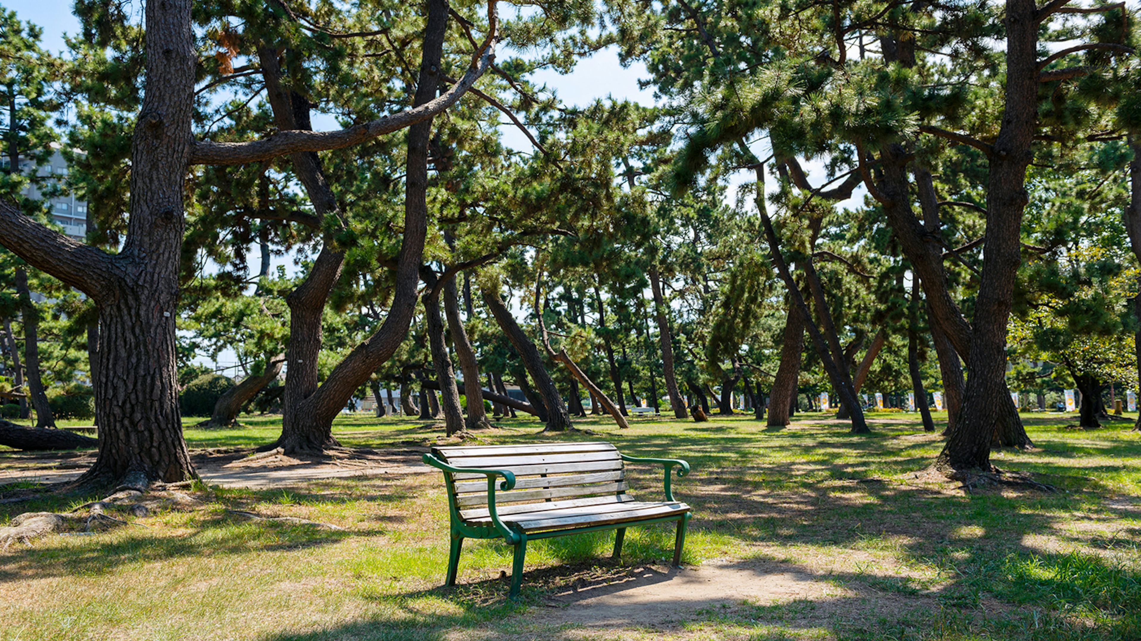 名松100選とばら庭園に癒やされる！浜寺公園の見どころを徹底解説