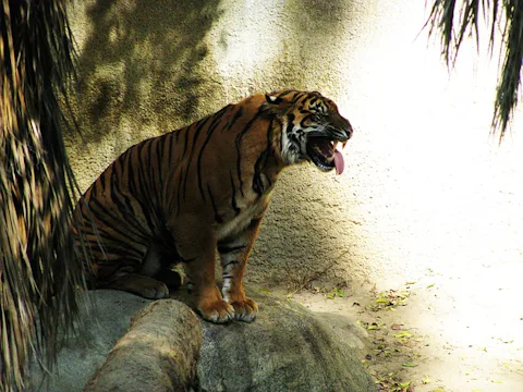 ロサンゼルス動物園