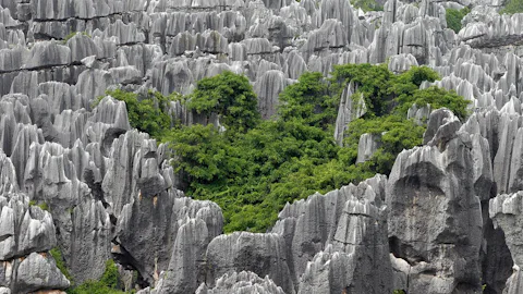 石林風景区