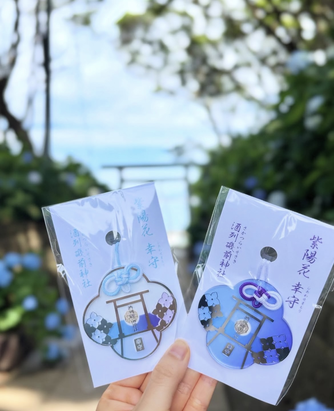 6〜7月限定授与「あじさい幸守」（1,500円）