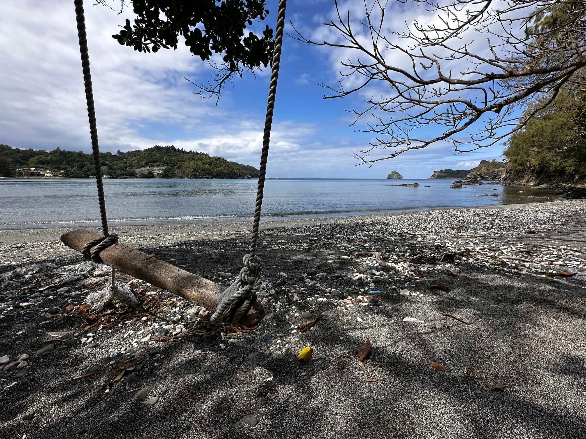 四万十川の流木　お題 ： かえる 四万十川の流木 お題 ： かえる 四万十川の流木 お題 ： かえる