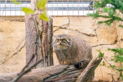 那須どうぶつ王国