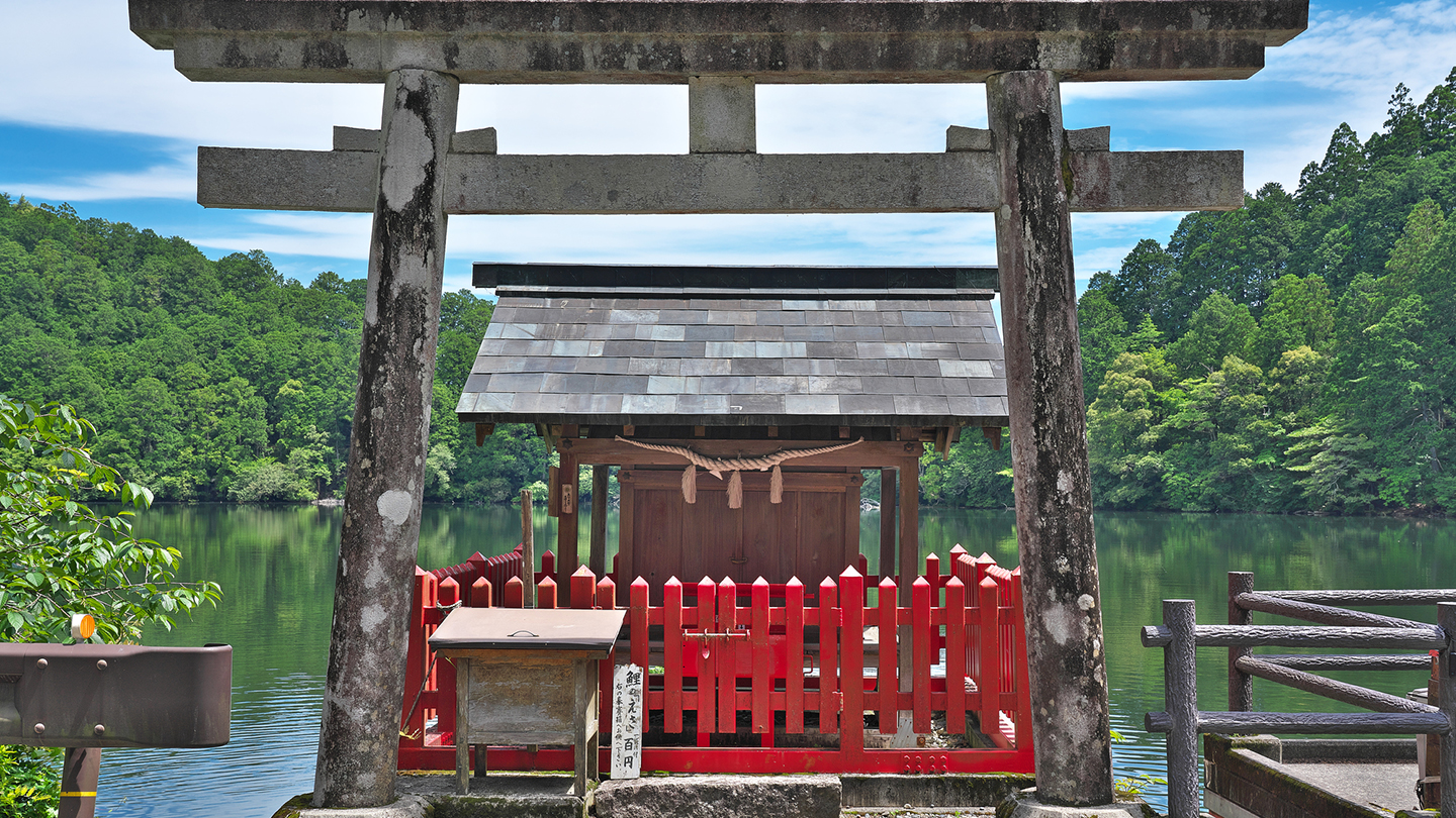 奈良最大の天然池・明神池！七不思議と巨木が残る池神社へ