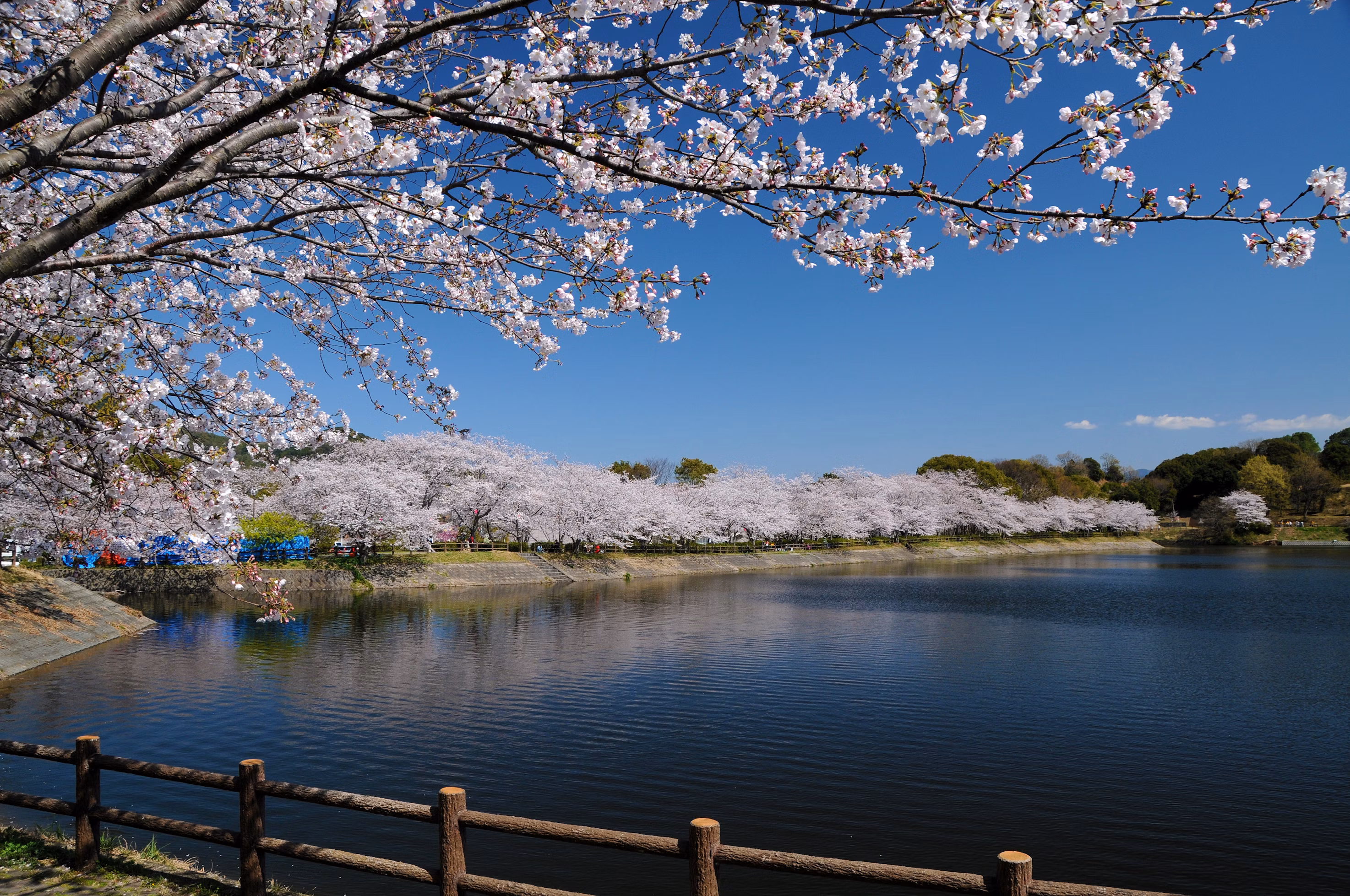 熊本の県央