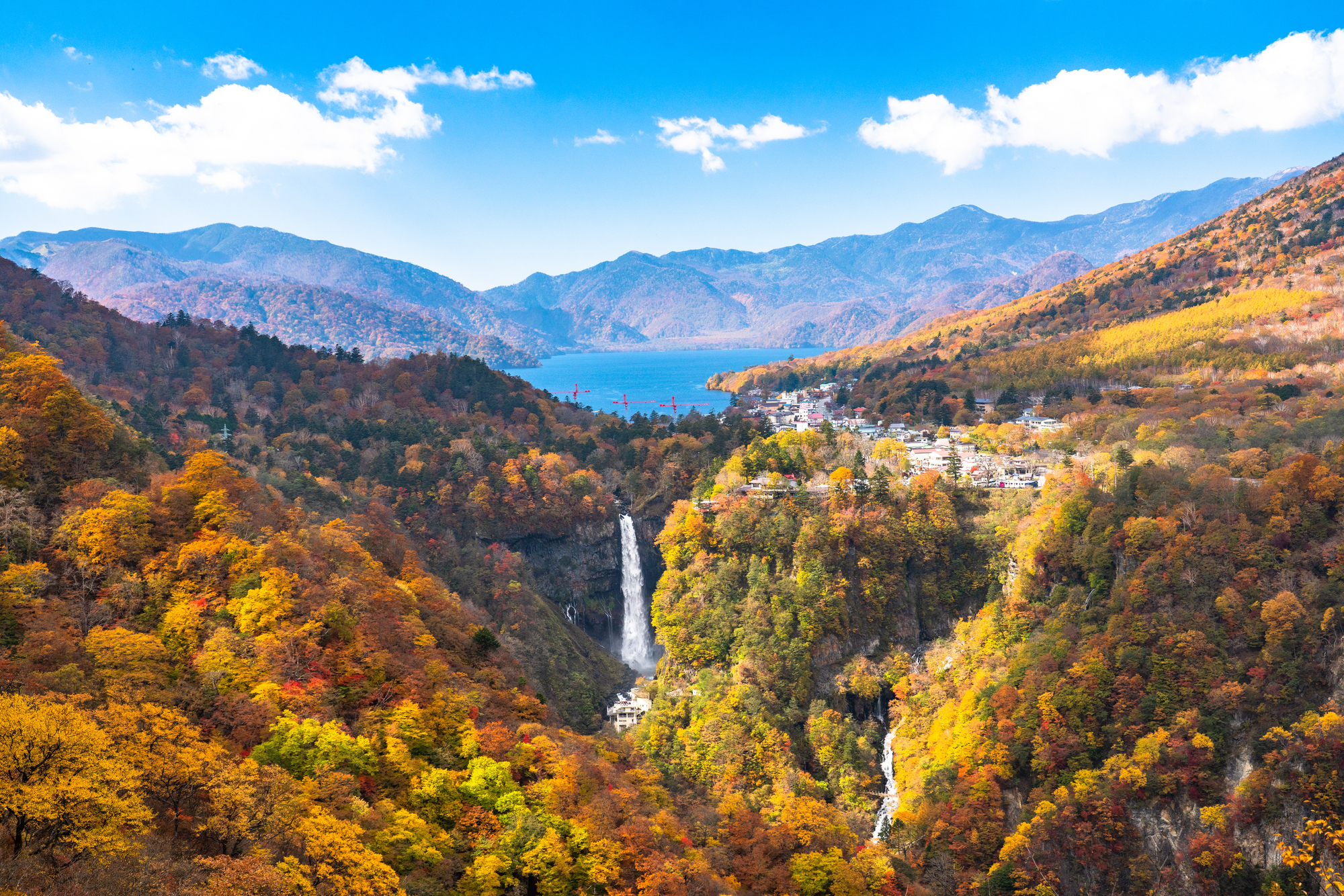 栃木