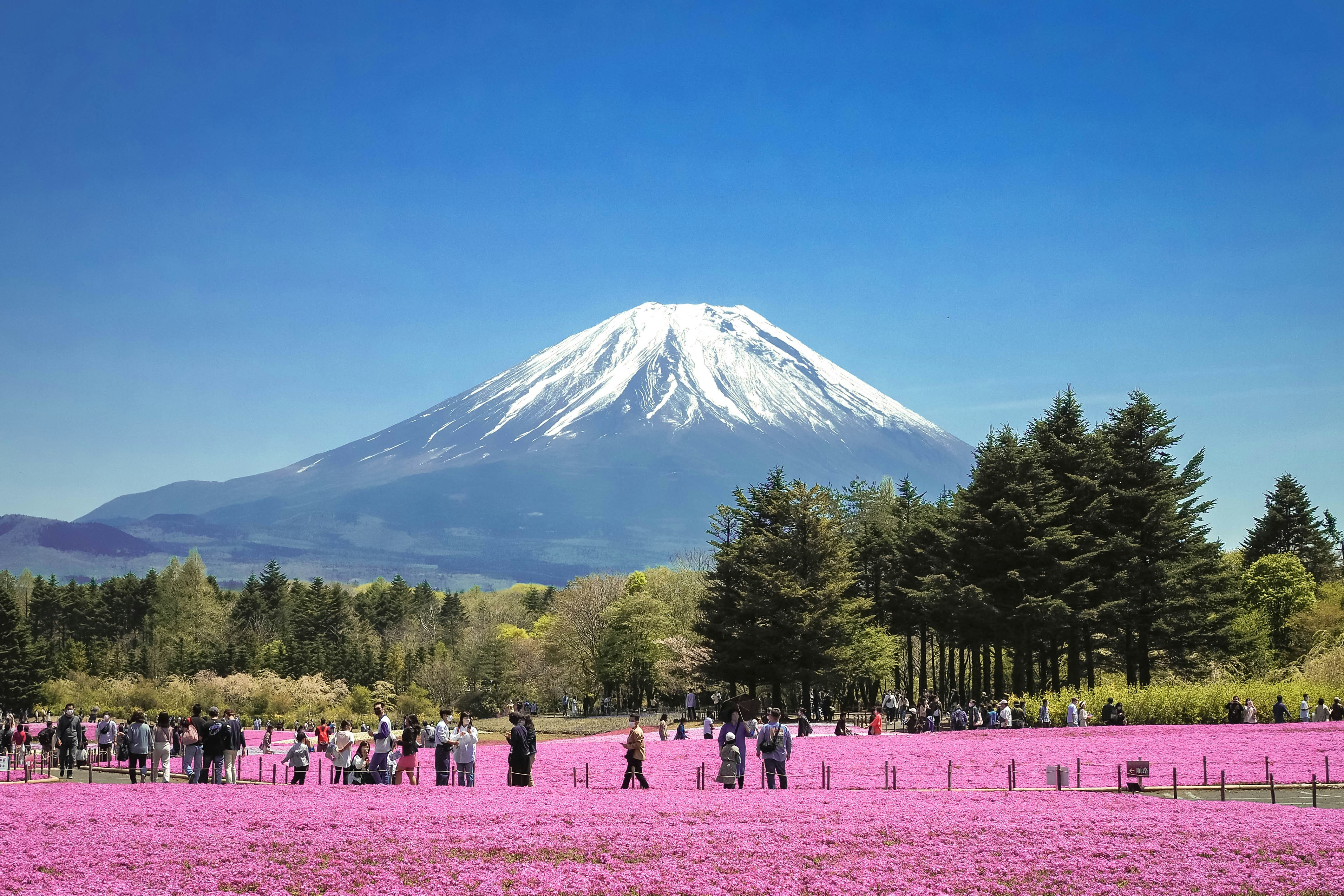山梨