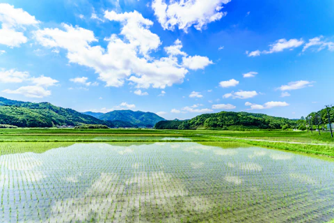 兵庫の丹波