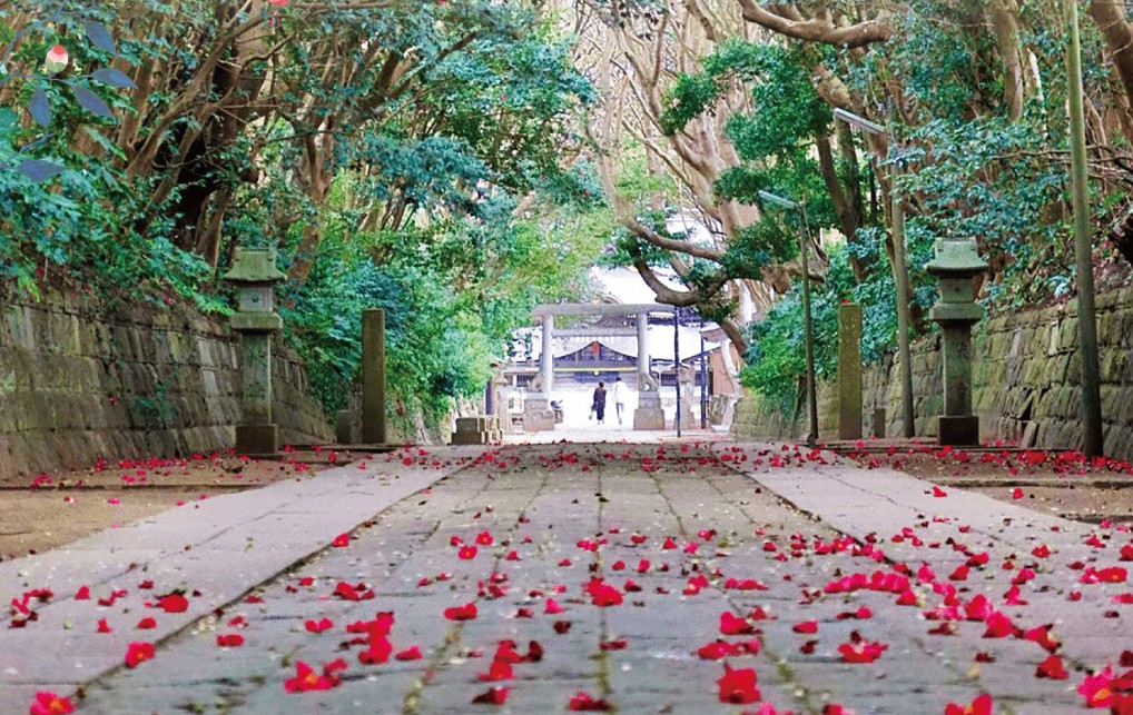 樹叢の参道（2〜3月ごろの光景）