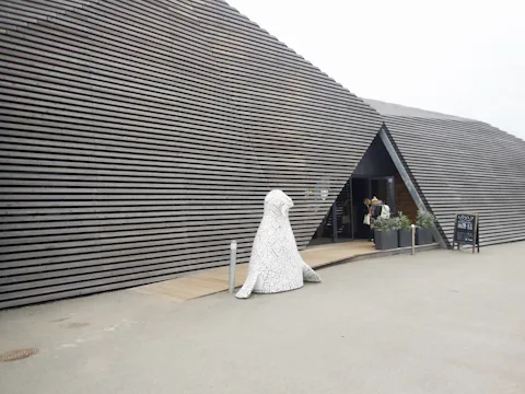 ヘルシンキのロウリュ ヘルシンキ