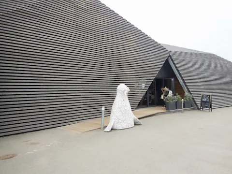 ロウリュ ヘルシンキ