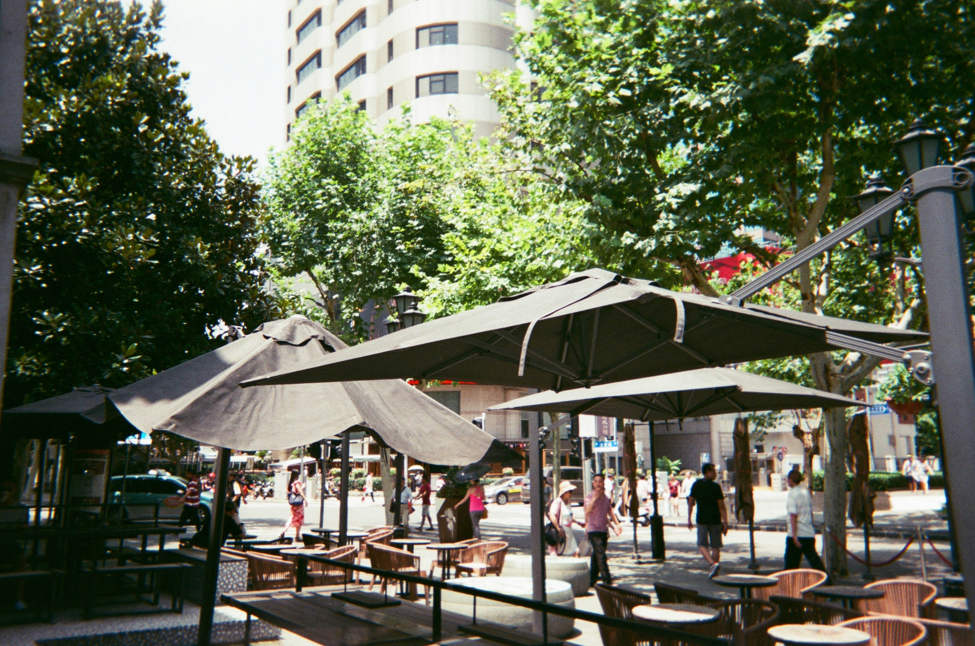 上海の衡山路