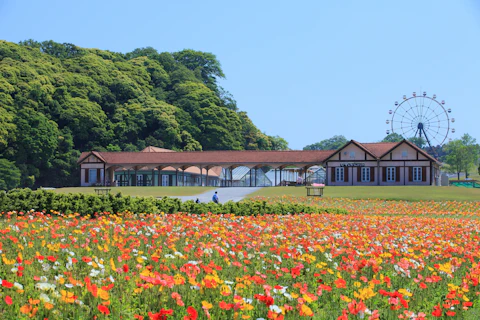 千葉の東京ドイツ村