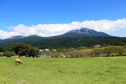 高千穂牧場