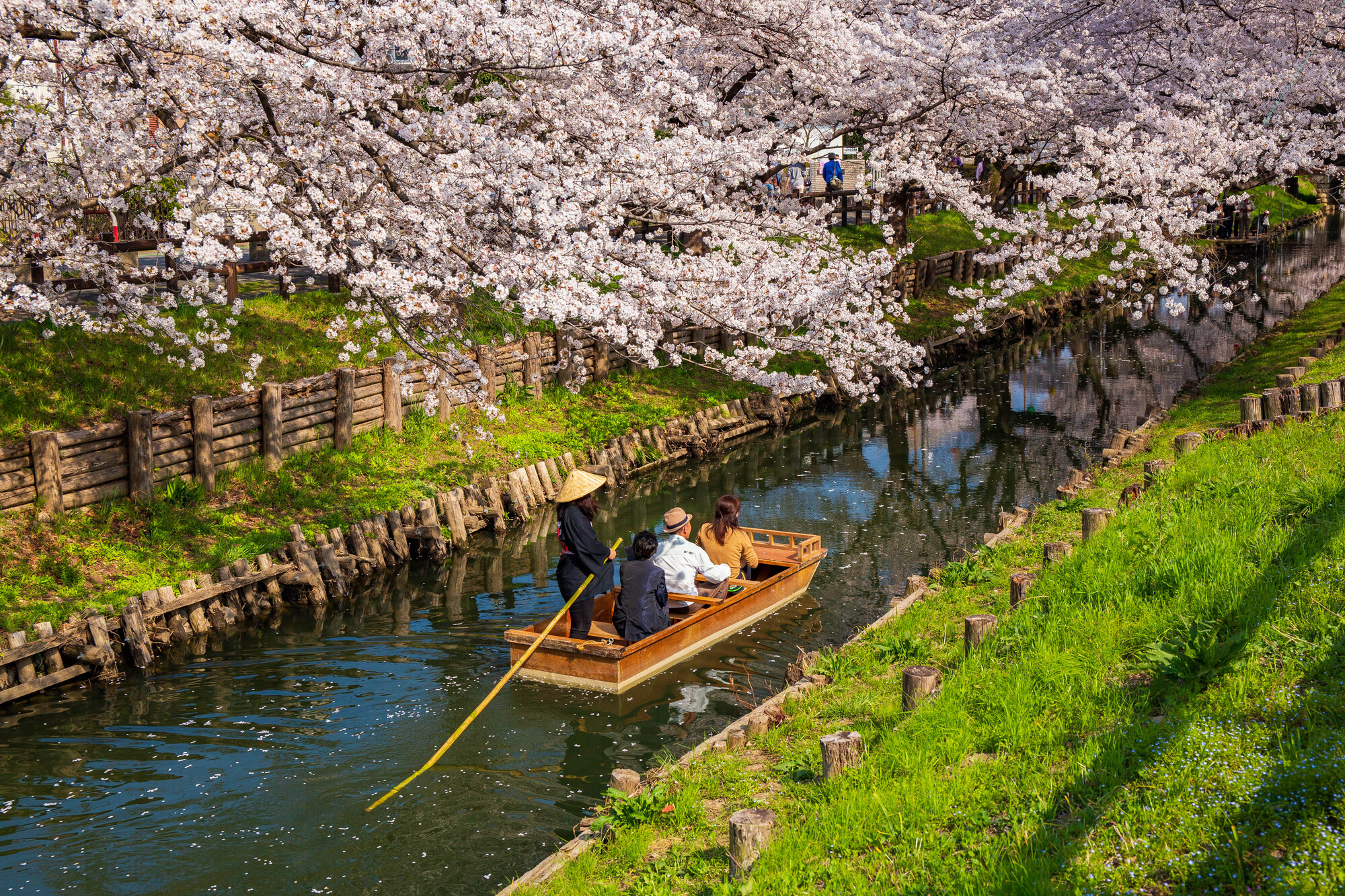 湖の風景画 A4 スウェーデンのアート