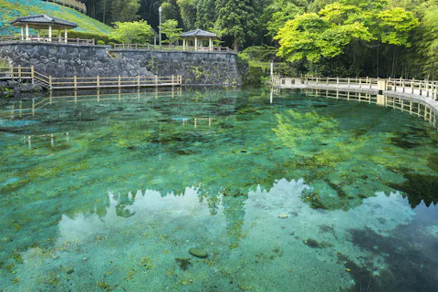 丸池湧水